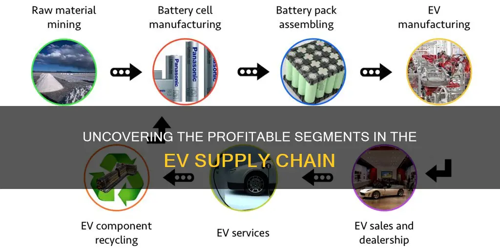 where the money is in the electric vehicle supply chain