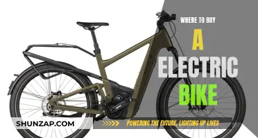 Best Places to Buy Your Dream Electric Bike