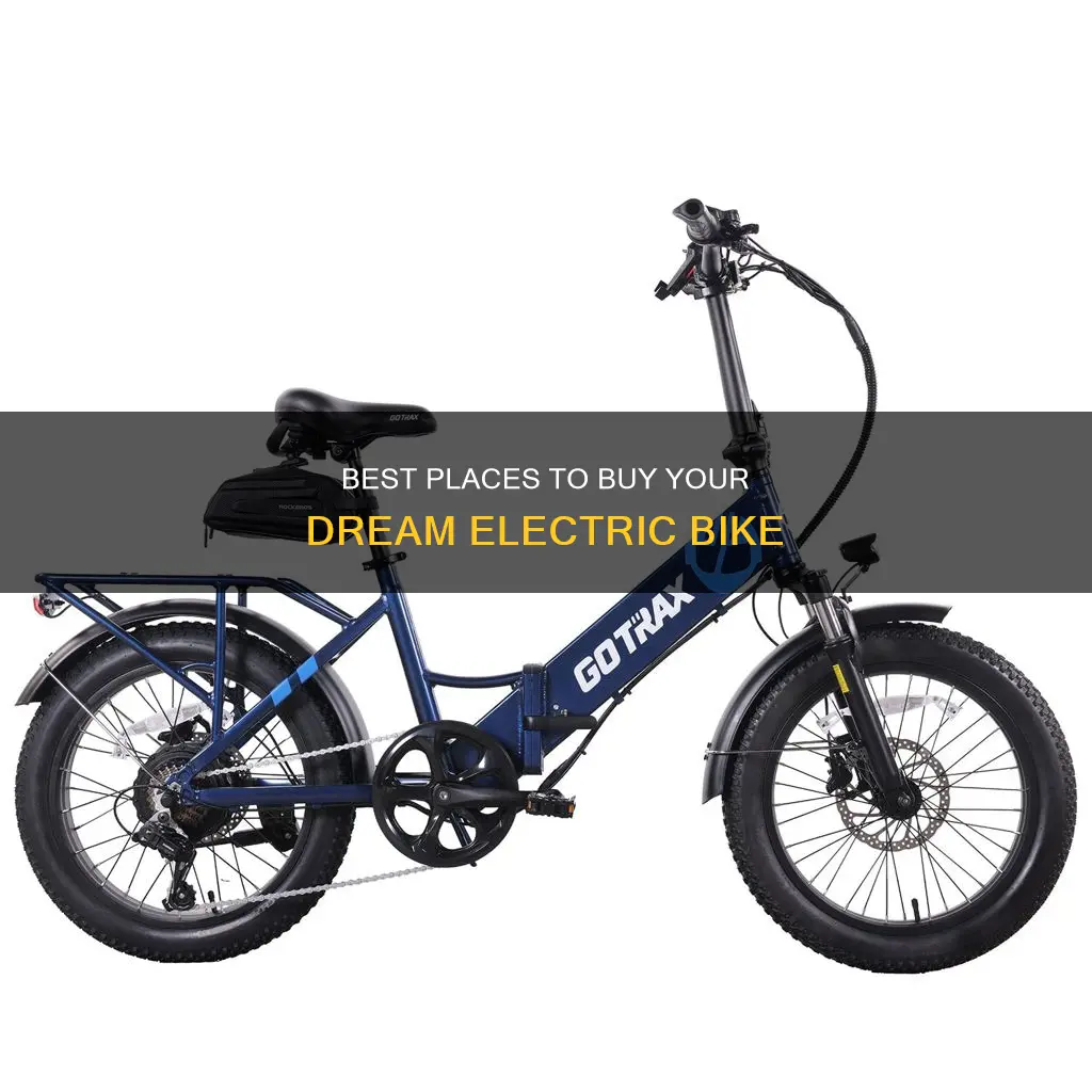 where to buy a electric bike