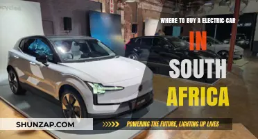 Top Electric Car Dealerships in South Africa: Your Ultimate Buying Guide