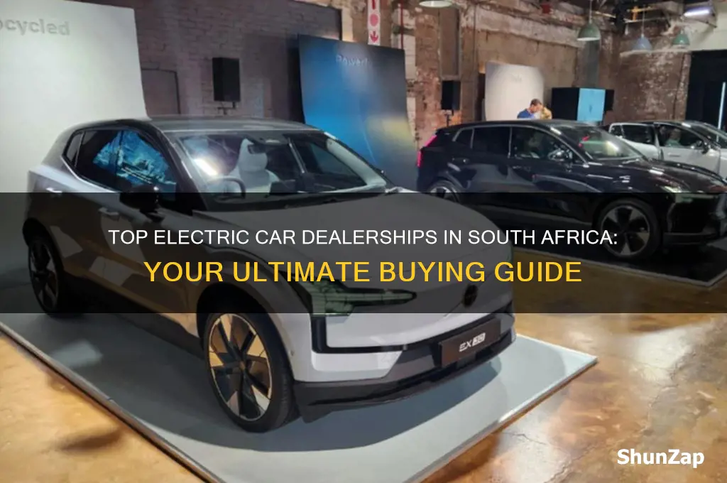where to buy a electric car in south africa