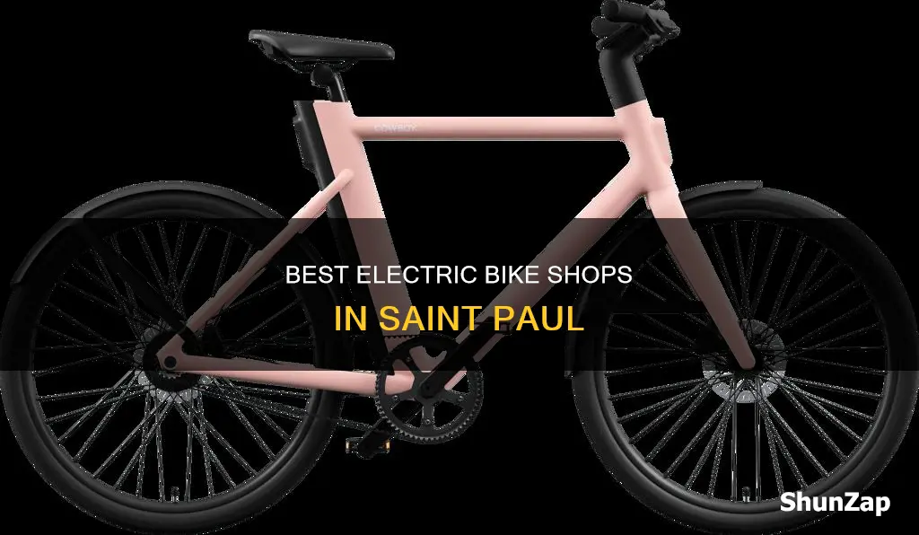 where to buy an electric bike in saint paul