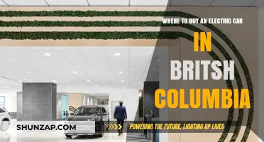 Top Electric Car Dealerships in British Columbia: Your Ultimate Buying Guide