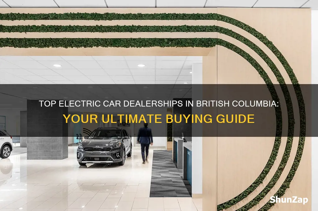 where to buy an electric car in britsh columbia