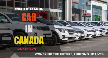 Top Electric Car Dealerships and Online Platforms in Canada