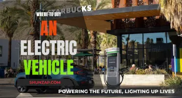 The Ultimate Guide to Electric Vehicle Purchases