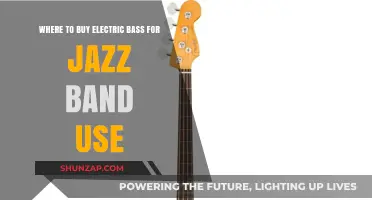 Best Places to Buy Electric Bass for Jazz Band Musicians