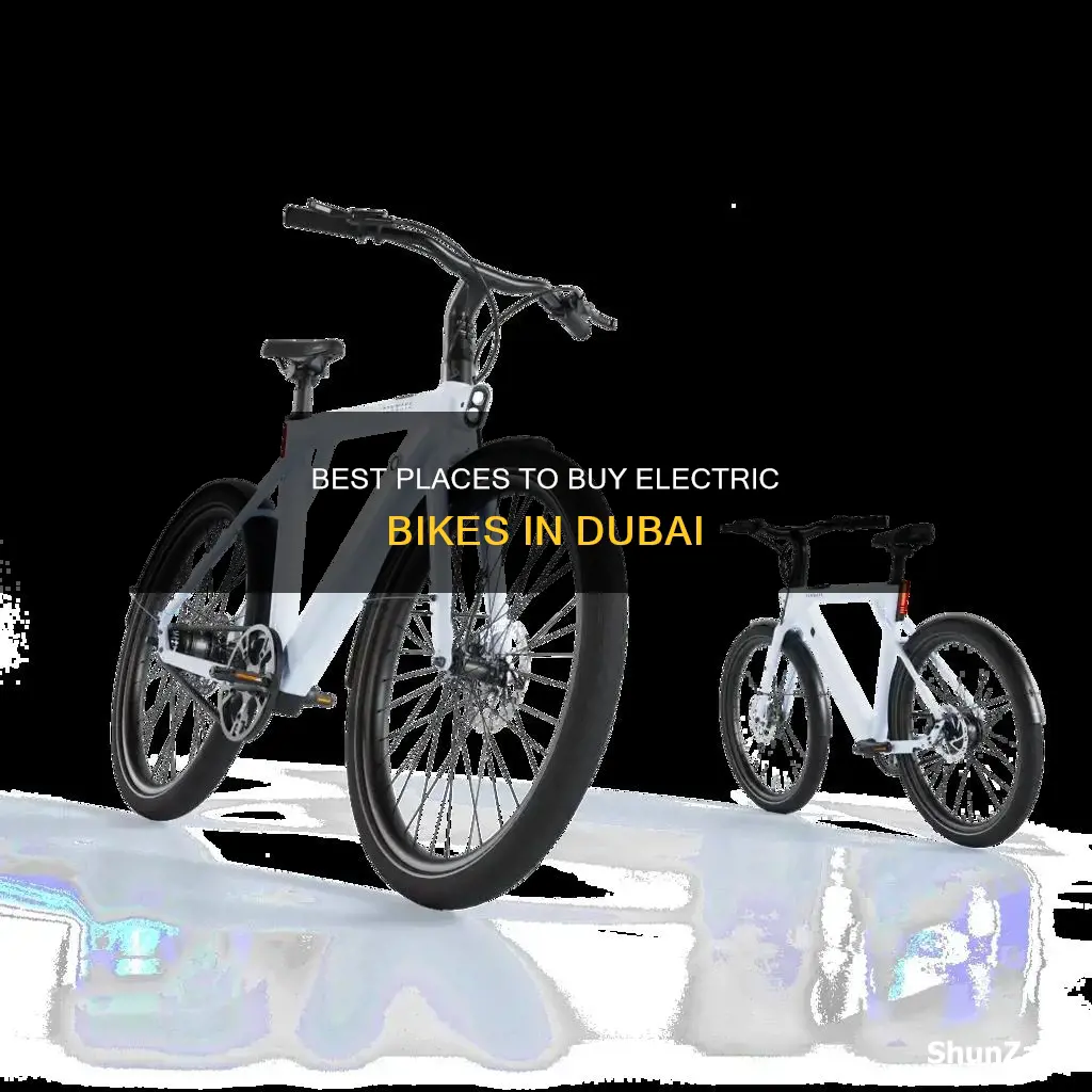 where to buy electric bike in dubai