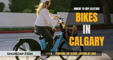 Calgary's Best Electric Bike Retailers: Where to Buy