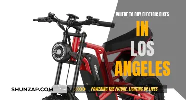 Best Electric Bike Shops in Los Angeles