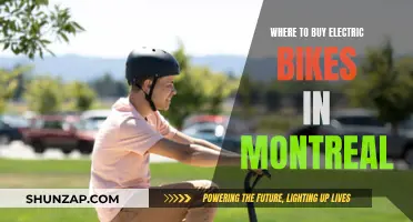 Montreal's Best Electric Bike Retailers: A Comprehensive Guide