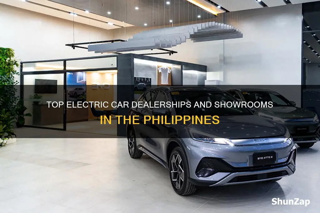 where to buy electric car in the philippines