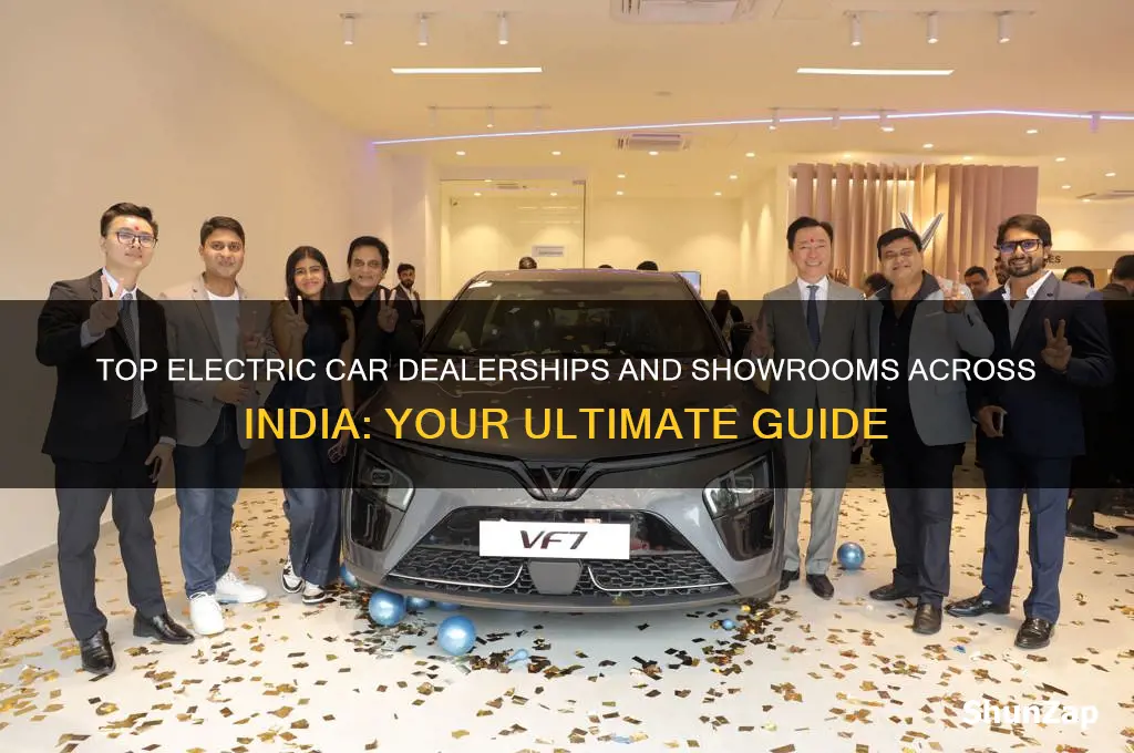 where to buy electric cars in india