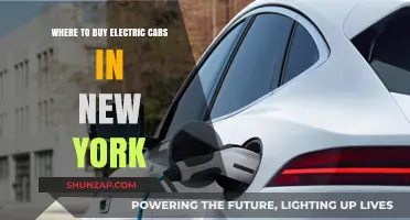 Top Electric Car Dealerships and Showrooms in New York City