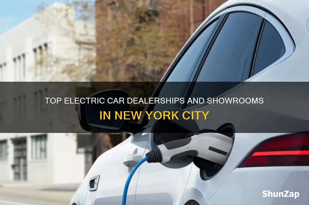 where to buy electric cars in new york