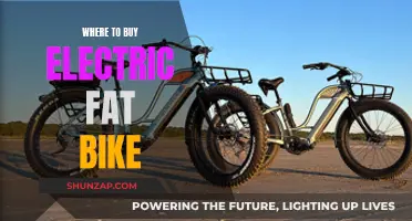 Best Places to Buy Your Electric Fat Bike