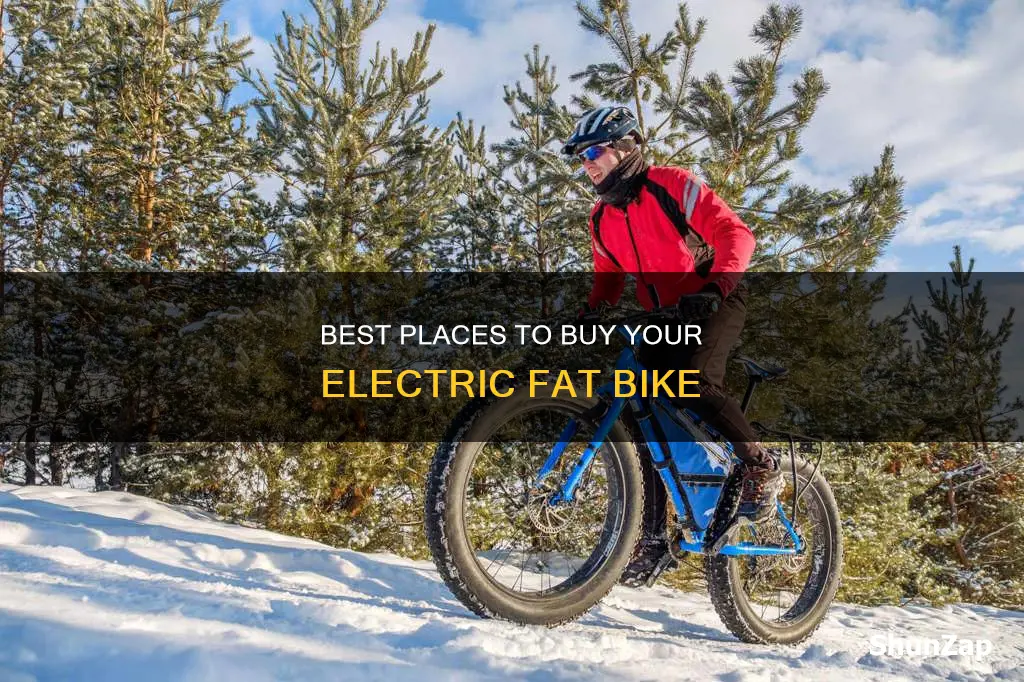 where to buy electric fat bike