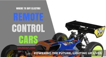 Best Places to Purchase Electric Remote Control Cars Online & In-Store
