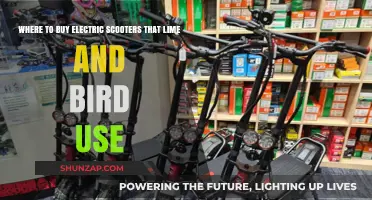 Top Retailers for Lime and Bird-Style Electric Scooters: A Buyer's Guide