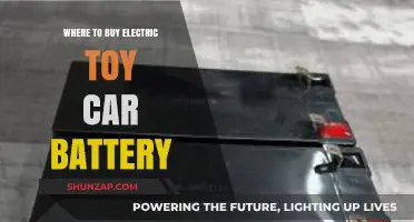 Best Places to Purchase Electric Toy Car Batteries Online & In-Store
