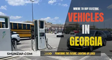 Electric Vehicle Options: Georgia's Top Dealers and Showrooms