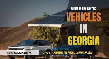 Best Places to Buy Electric Vehicles in Georgia