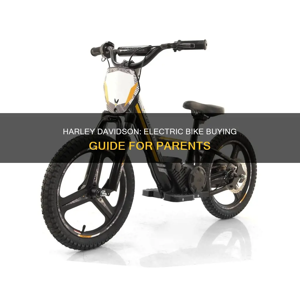 where to buy harley davidson electric bike for kids