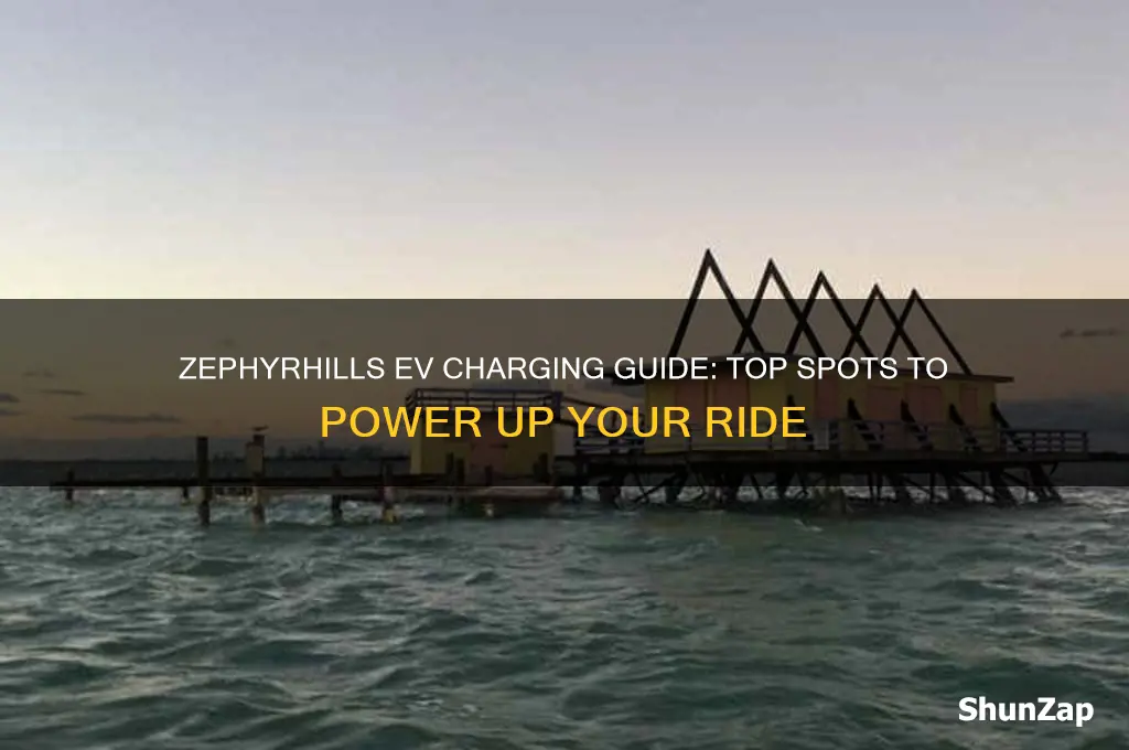 where to charge your electric car in zephyrhills