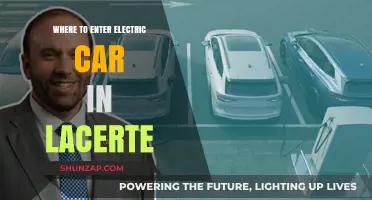 Navigating Lacerte: Where to Input Electric Vehicle Tax Credits
