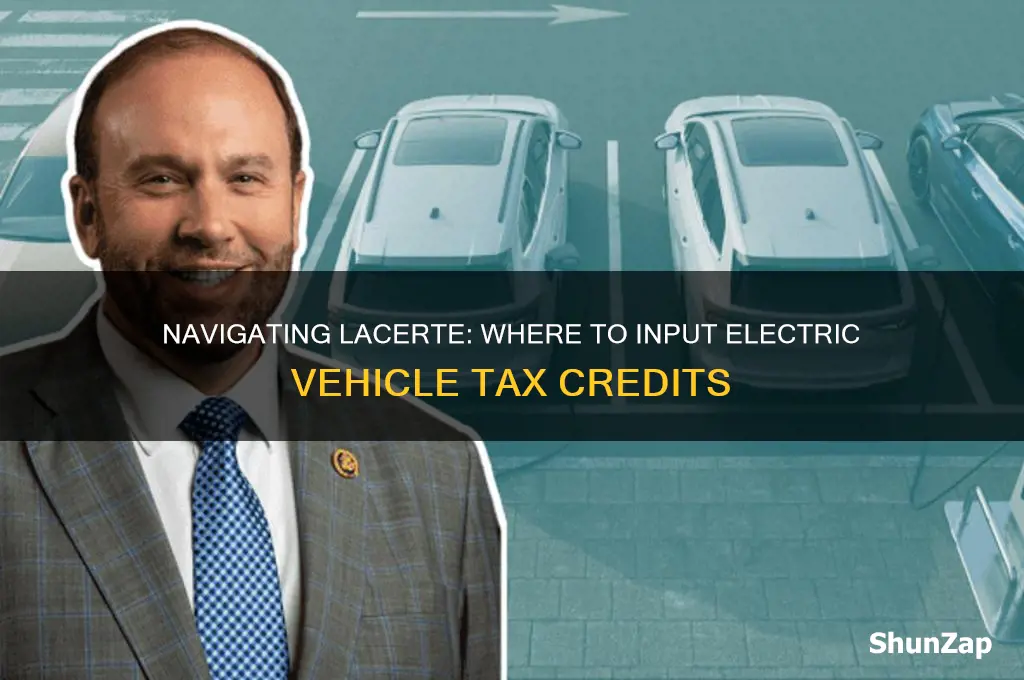 where to enter electric car in lacerte