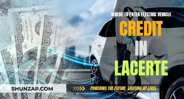 How to Claim Electric Vehicle Credit in Lacerte