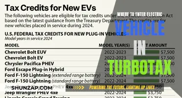 TurboTax: Electric Vehicle Deductions: Where to Enter Your EV Info