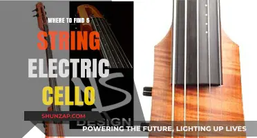 Explore the Unique 5-String Electric Cello Options