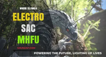 Finding Electro Sacs in Monster Hunter Freedom Unite