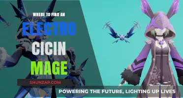 Finding Electro: The Mage's Location