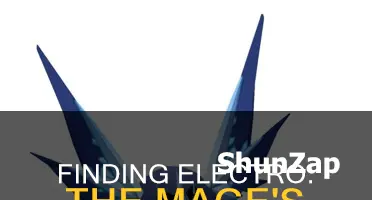 where to find an electro cicin mage