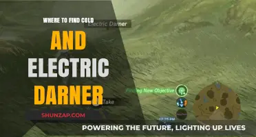 Cold and Electric Darner: Where to Find Them?