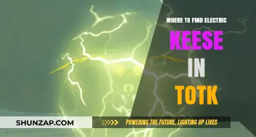 Exploring Tokt: Electric Keese Locations