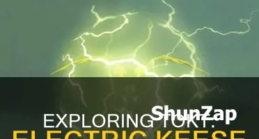 where to find electric keese in totk