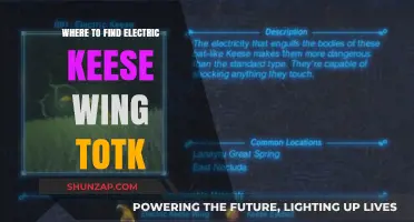 Finding Electric Keese Wings: Breath of the Wild Guide