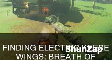 where to find electric keese wing totk