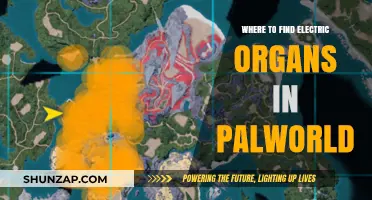 Finding Electric Organs: Palworld Exploration Guide