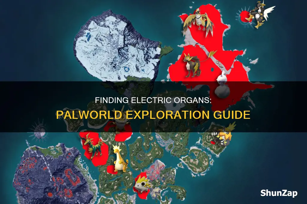 where to find electric organs in palworld