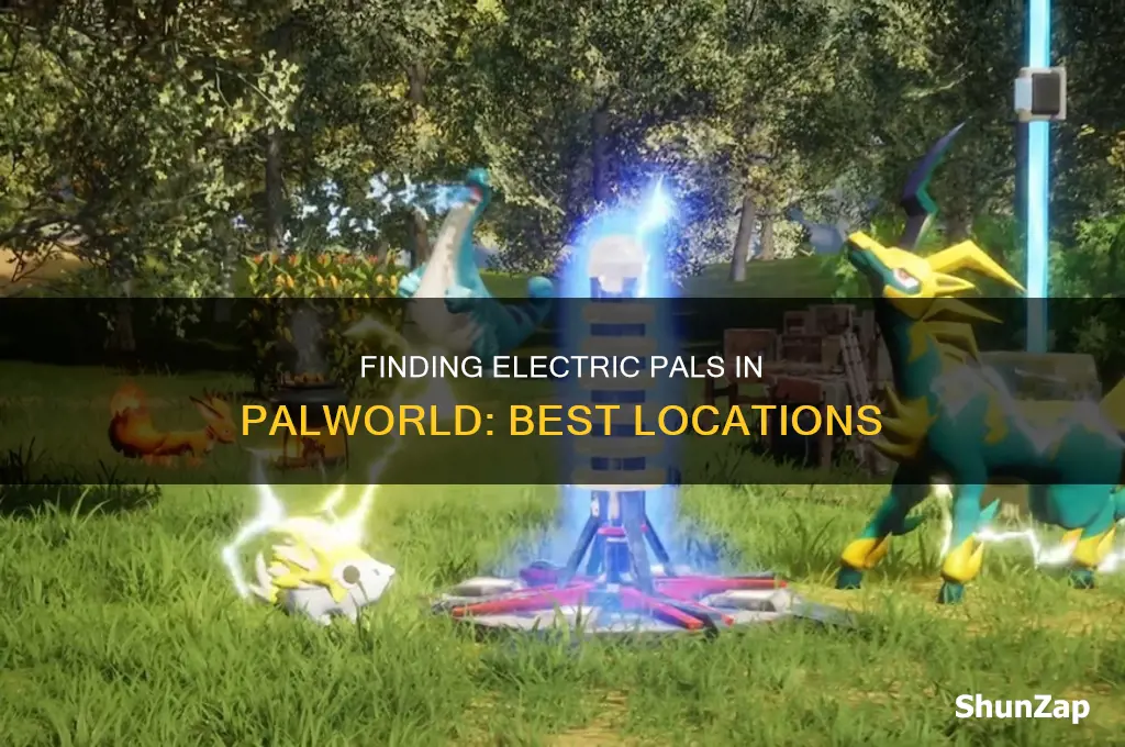 where to find electric type pals palworld