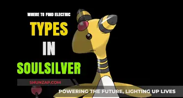 Best Electric Type Hunting Grounds in SoulSilver
