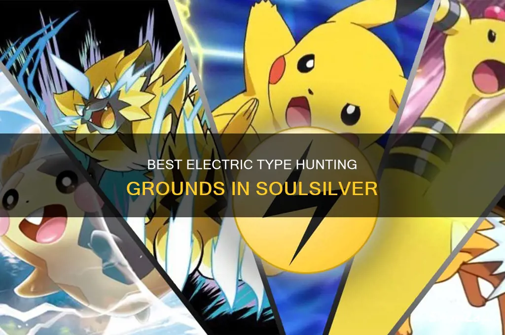 where to find electric types in soulsilver