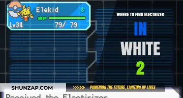 Finding Electrizers in Pokémon White 2