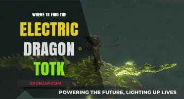 Explore the Wild to Find Electric Dragon TotK
