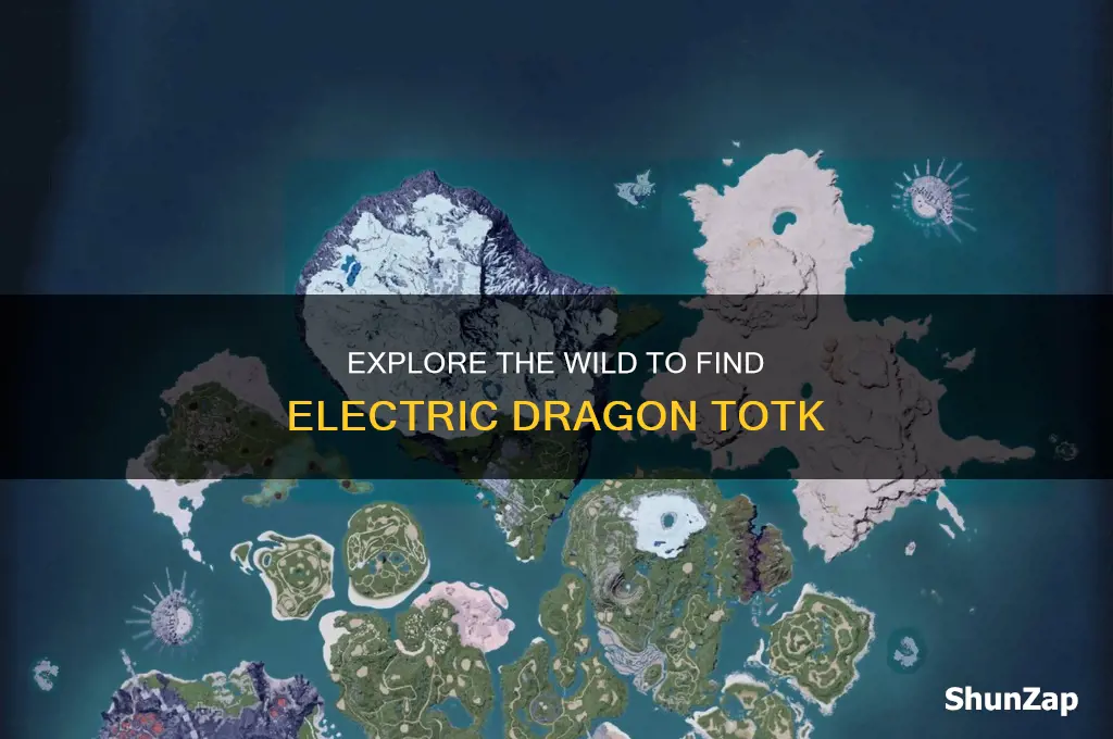 where to find the electric dragon totk