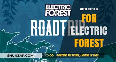 Flying into Electric Forest: Airport Guide